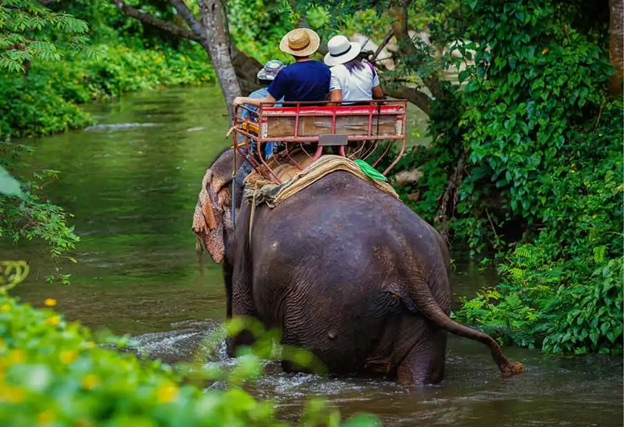 Gajah